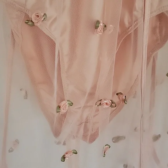 For Love & Lemons sheer Maxi Rose dress - Picture 12 of 13